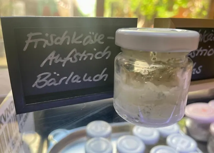 Hotell Alt Naumburg Naumburg (Saale)